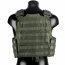 Бронежилет (EmersonGear) CP Style CPC Tactical Vest (RG)